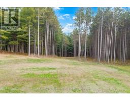 18785 The Gore Road, Caledon, ON L7E0X9 Photo 40