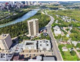 #308 9907 91 Av Nw, Edmonton, AB T6E2T7 Photo 29