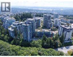909 8850 University Crescent, Burnaby, BC V5A0C8 Photo 38