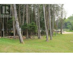 60 Wurm Road, Magnetawan, ON P0A1P0 Photo 36