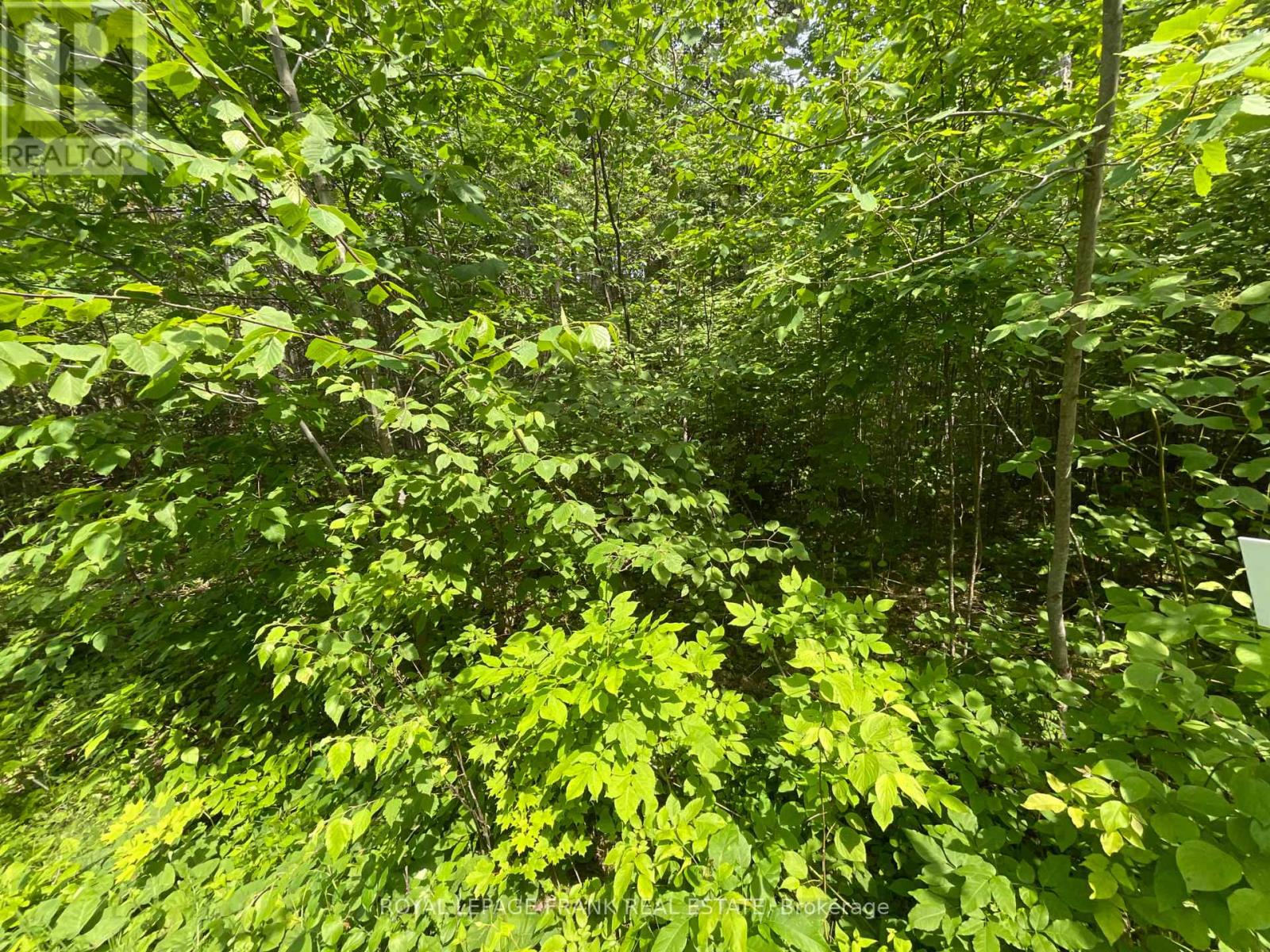 0 Sugarbush Crescent, Trent Lakes, Ontario, K0L1J0, Trent Lakes, Ontario — photo 2 of 5