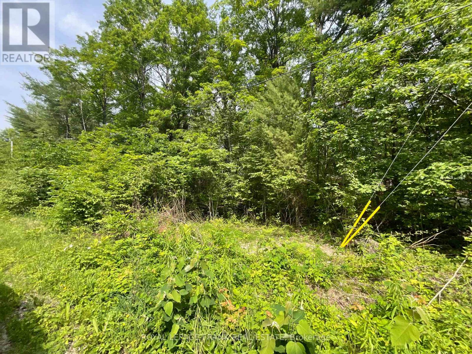 0 Sugarbush Crescent, Trent Lakes, Ontario, K0L1J0, Trent Lakes, Ontario — photo 4 of 5