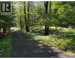 919 Route 905, Pollett River, NB E4Z3B5 Photo 12