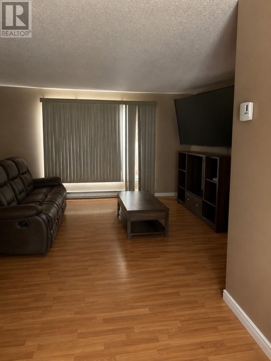 103 Main Street, Embree — photo 3