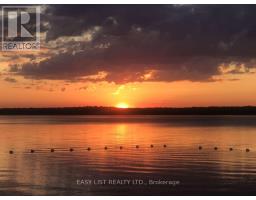 456 Old Surrey Lane, Kawartha Lakes, ON K0M1A0 Photo 40