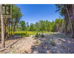 0 Forbes Road, North Grenville, ON K0G1N0 Photo 6