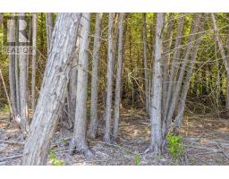 0 Forbes Road, North Grenville, ON K0G1N0 Photo 8