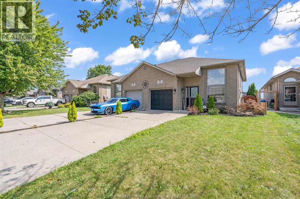 51 Anfred - Image 34