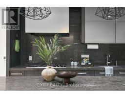 1084 Bay Street, Toronto, ON M5S0A3 Photo 20