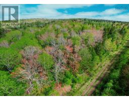Lot 09-3 Hillsdale Road, Hillside, NS B0E1P0 Photo 12