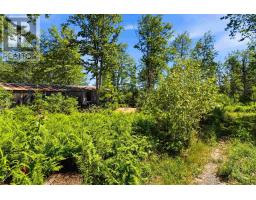 552 Beaconsfield Road, Beaconsfield, NS B0S1C0 Photo 15