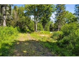 552 Beaconsfield Road, Beaconsfield, NS B0S1C0 Photo 14