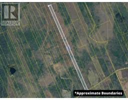 552 Beaconsfield Road, Beaconsfield, NS B0S1C0 Photo 46