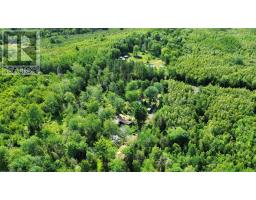 552 Beaconsfield Road, Beaconsfield, NS B0S1C0 Photo 44