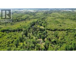 552 Beaconsfield Road, Beaconsfield, NS B0S1C0 Photo 45