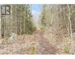 376 Riding Ranch Road, South River, ON P0A1X0 Photo 31