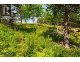 Lot 3 Highway 19, Hawleys Hill, Mabou, NS B0E1X0 Photo 10