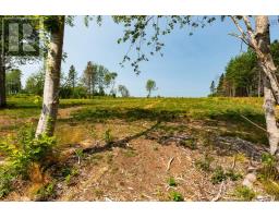Lot 3 Highway 19, Hawleys Hill, Mabou, NS B0E1X0 Photo 11