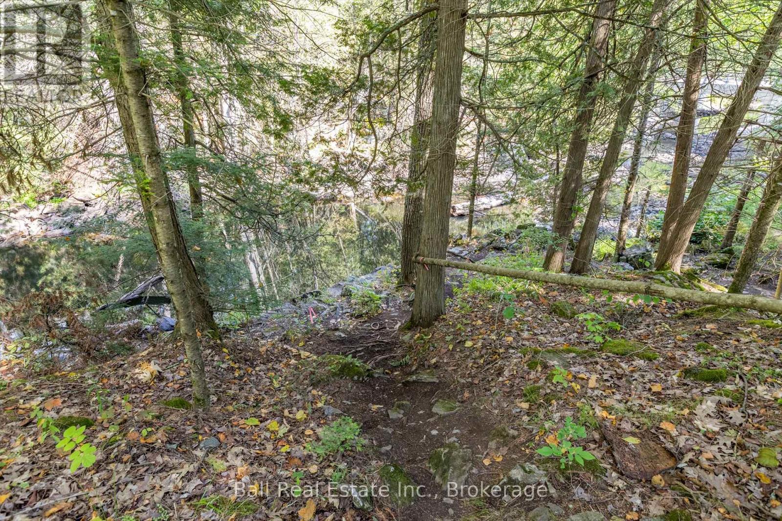 2476 COUNTY RD 46 - Image 38