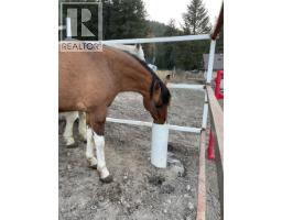 3966 Hwy 3 Highway, Rock Creek, BC V0H1Y0 Photo 25