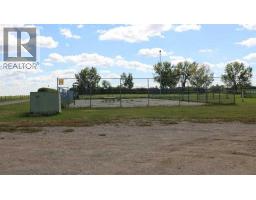 447 Henricks Drive, Irricana, AB T0M1B0 Photo 27