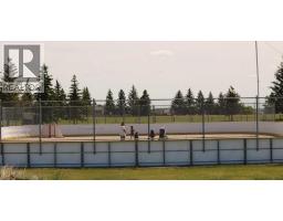 447 Henricks Drive, Irricana, AB T0M1B0 Photo 31