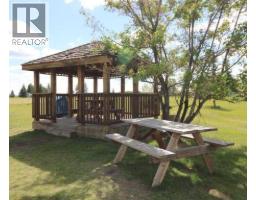 447 Henricks Drive, Irricana, AB T0M1B0 Photo 30