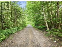 1063 Sherwood Forest Road, Bracebridge, ON P1L1X3 Photo 25