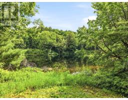 1063 Sherwood Forest Road, Bracebridge, ON P1L1X3 Photo 29