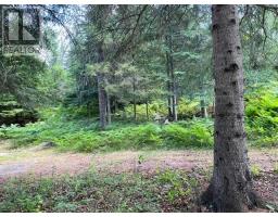 301 Sandy Beach Road, Dryden, ON P8N0A2 Photo 22