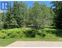 301 Sandy Beach Road, Dryden, ON P8N0A2 Photo 20