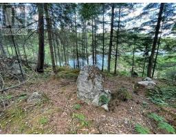 301 Sandy Beach Road, Dryden, ON P8N0A2 Photo 21