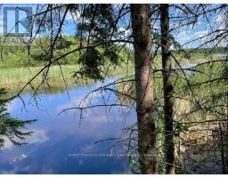 301 Sandy Beach Road, Dryden, ON P8N0A2 Photo 23