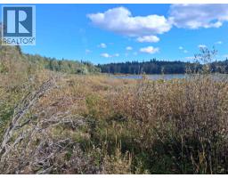 15861 Jarman Road, Houston, BC V0J1Z2 Photo 8