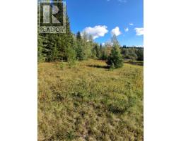 15861 Jarman Road, Houston, BC V0J1Z2 Photo 17