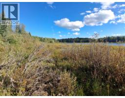 15861 Jarman Road, Houston, BC V0J1Z2 Photo 9