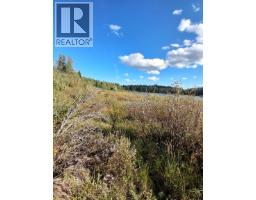 15861 Jarman Road, Houston, BC V0J1Z2 Photo 10