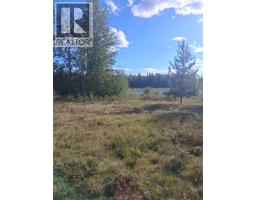 15861 Jarman Road, Houston, BC V0J1Z2 Photo 21