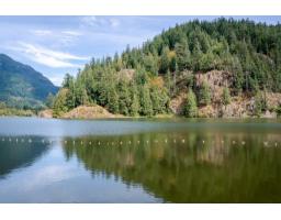 43885 Chestnut Lane, Mission, BC V0M1N0 Photo 37