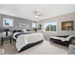 20007 131 Av Nw Nw, Edmonton, AB T5S0E1 Photo 49