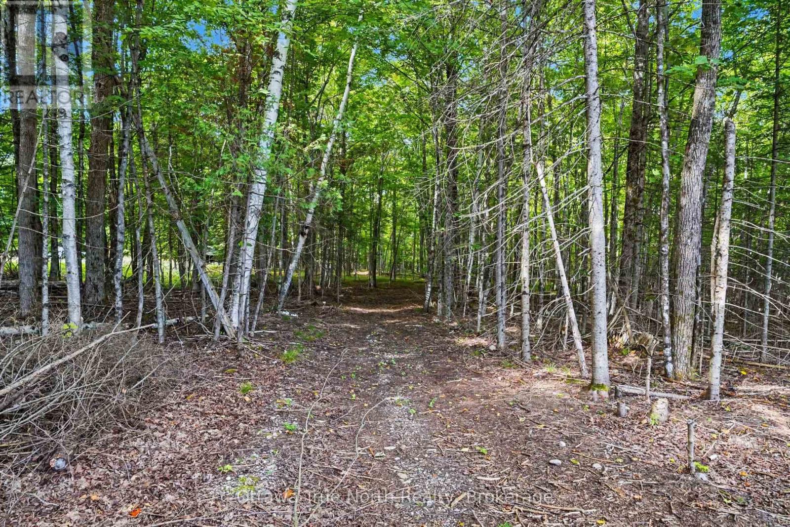 464 DALHOUSIE 1A CONCESSION - Image 28