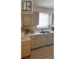 48 Green Bush Road, Toronto, ON M2M1P3 Photo 8