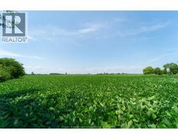 V/l County Rd 20 Unit# Parts 1 & 2, Amherstburg, ON N0R1G0 Photo 6