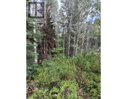 23336 Howells Road, Topley, BC V0J2N0 Photo 14