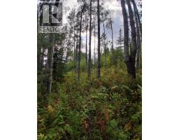 23336 Howells Road, Topley, BC V0J2N0 Photo 8