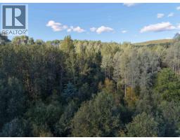 23336 Howells Road, Topley, BC V0J2N0 Photo 19