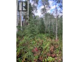 23336 Howells Road, Topley, BC V0J2N0 Photo 7