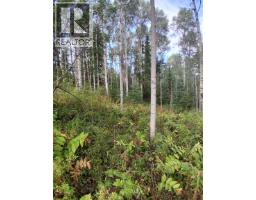 23336 Howells Road, Topley, BC V0J2N0 Photo 9