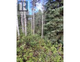 23336 Howells Road, Topley, BC V0J2N0 Photo 13