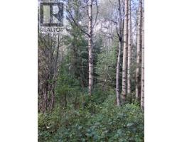 23336 Howells Road, Topley, BC V0J2N0 Photo 6